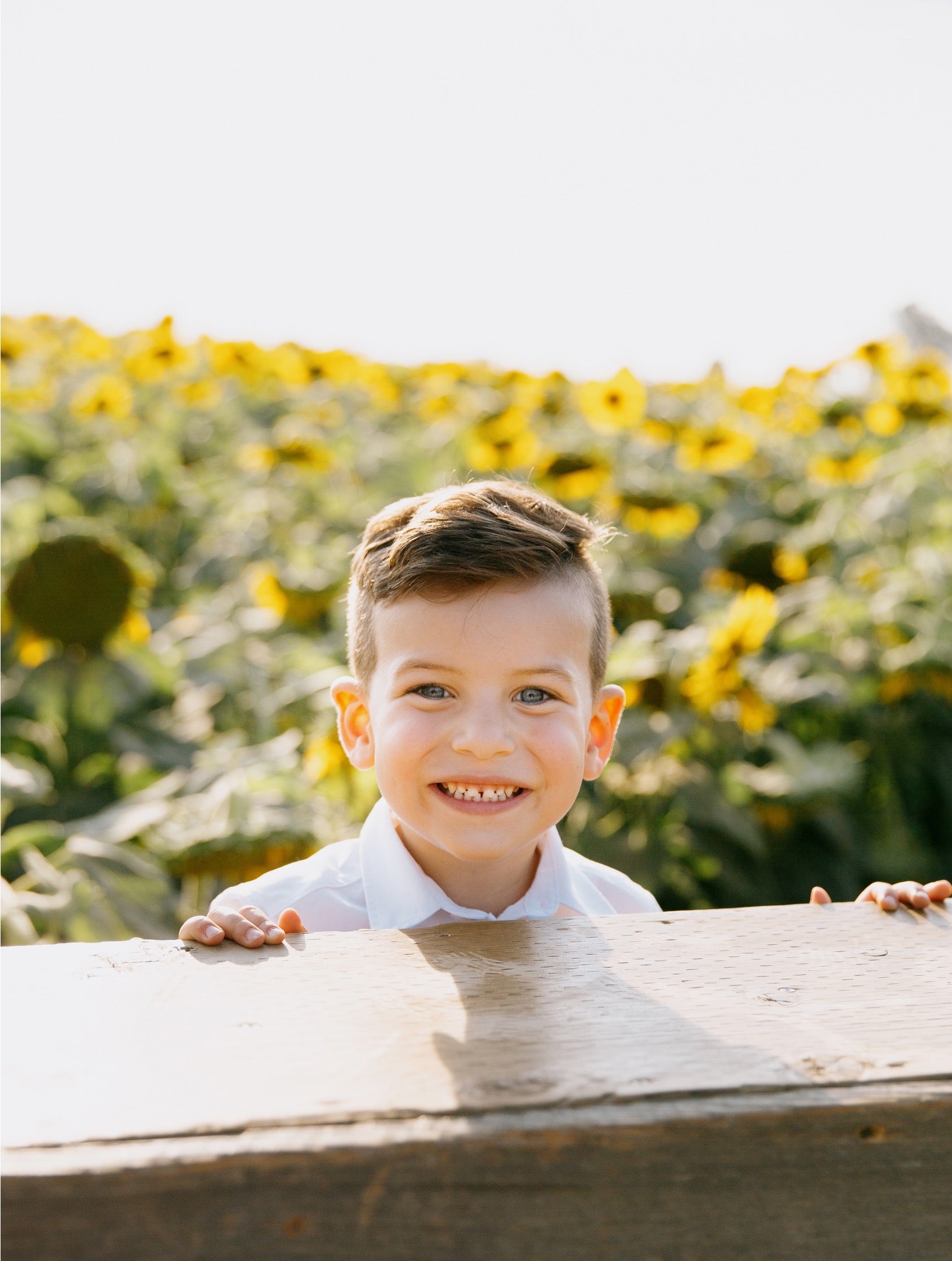 A young boy with short brown hair smiles while leaning over a wooden fence in front of a bright sunflower field.