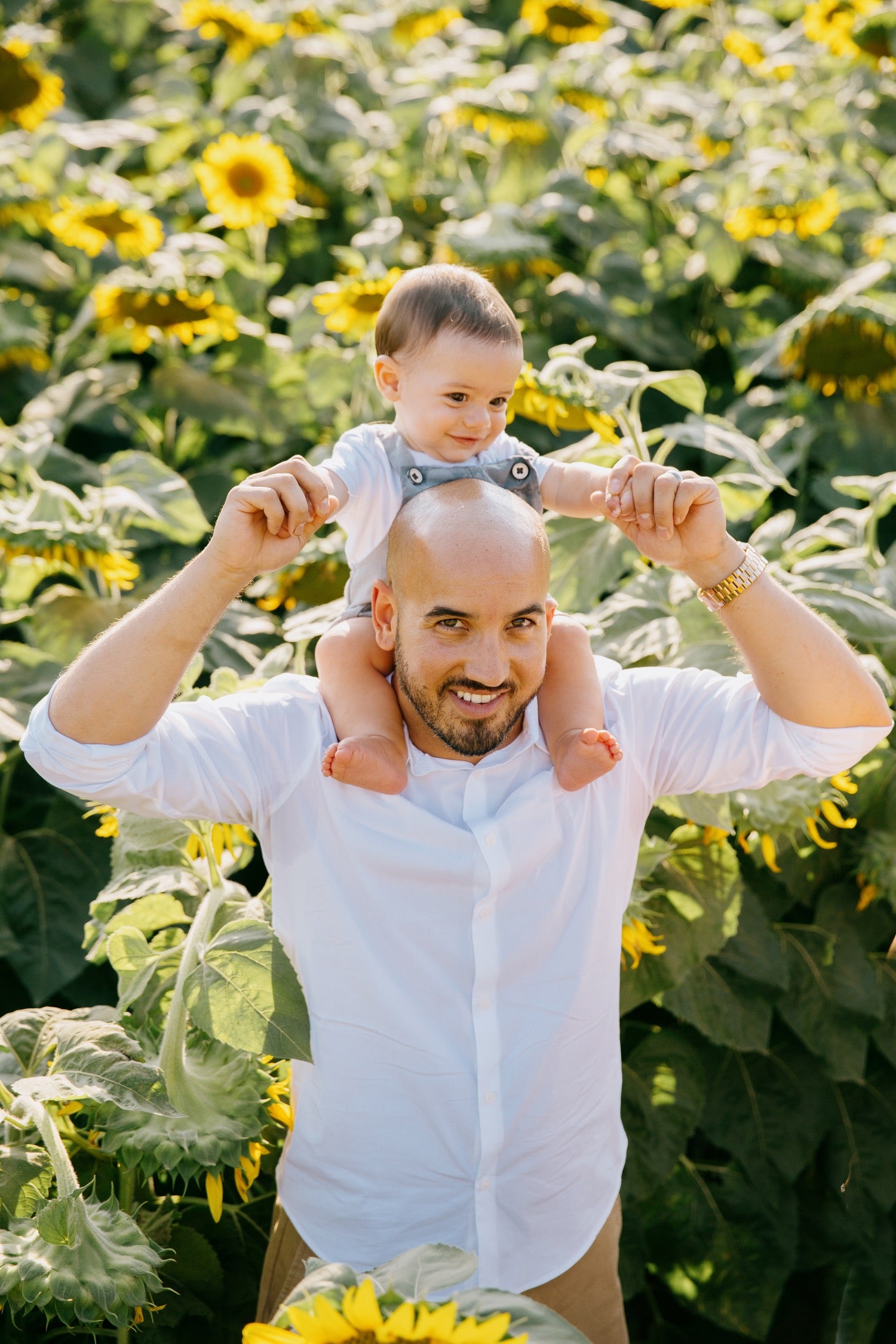 A smiling bald man wearing a white button-down shirt carries a baby on his shoulders in a sunflower field.