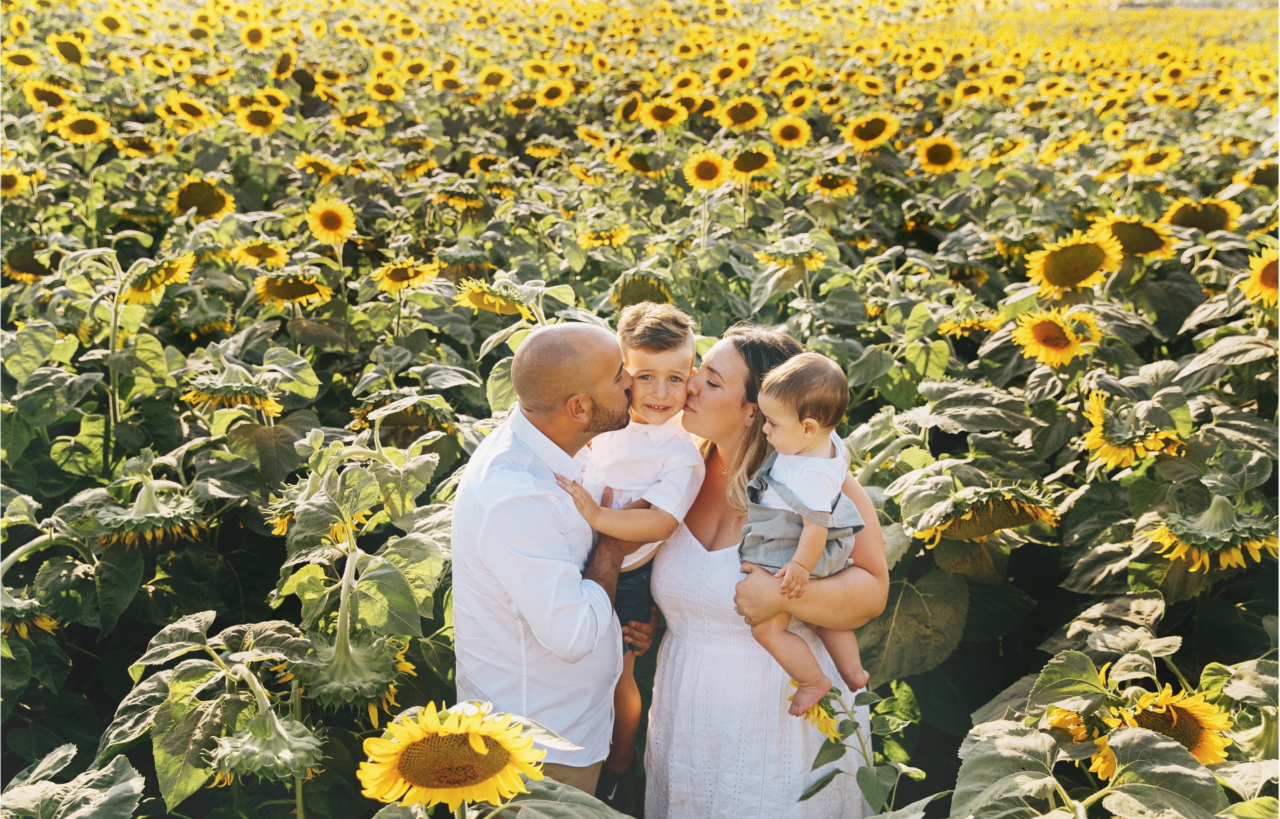 A family of four posing together in a sunflower field. The mother is wearing a white sleeveless dress and holding a baby, while the father in a white shirt holds a toddler.