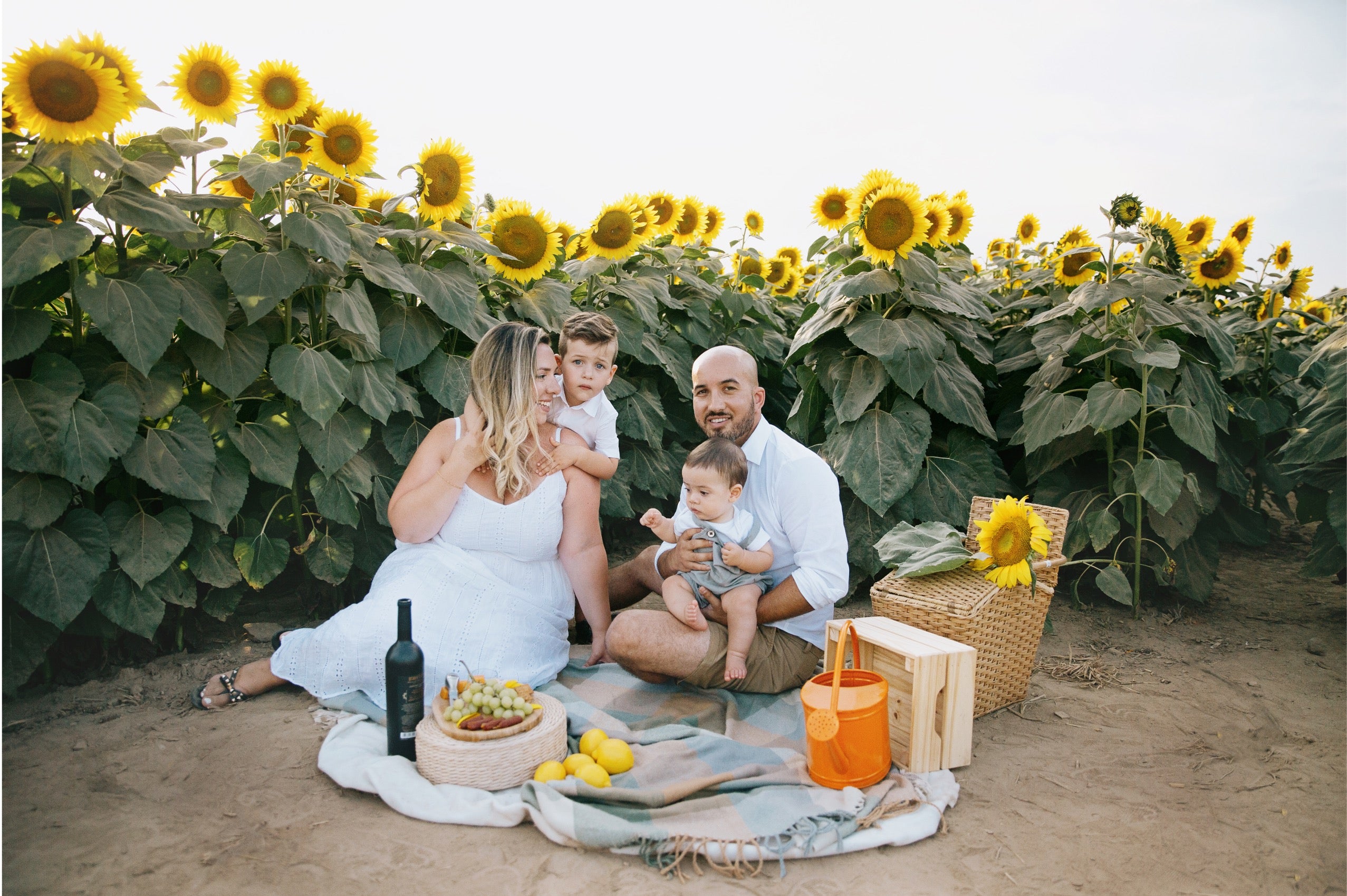 A family of four enjoys a picnic on a blanket in a sunflower field, with a wicker basket, orange cooler, and picnic accessories nearby. The background is filled with tall sunflower plants under a bright sky.