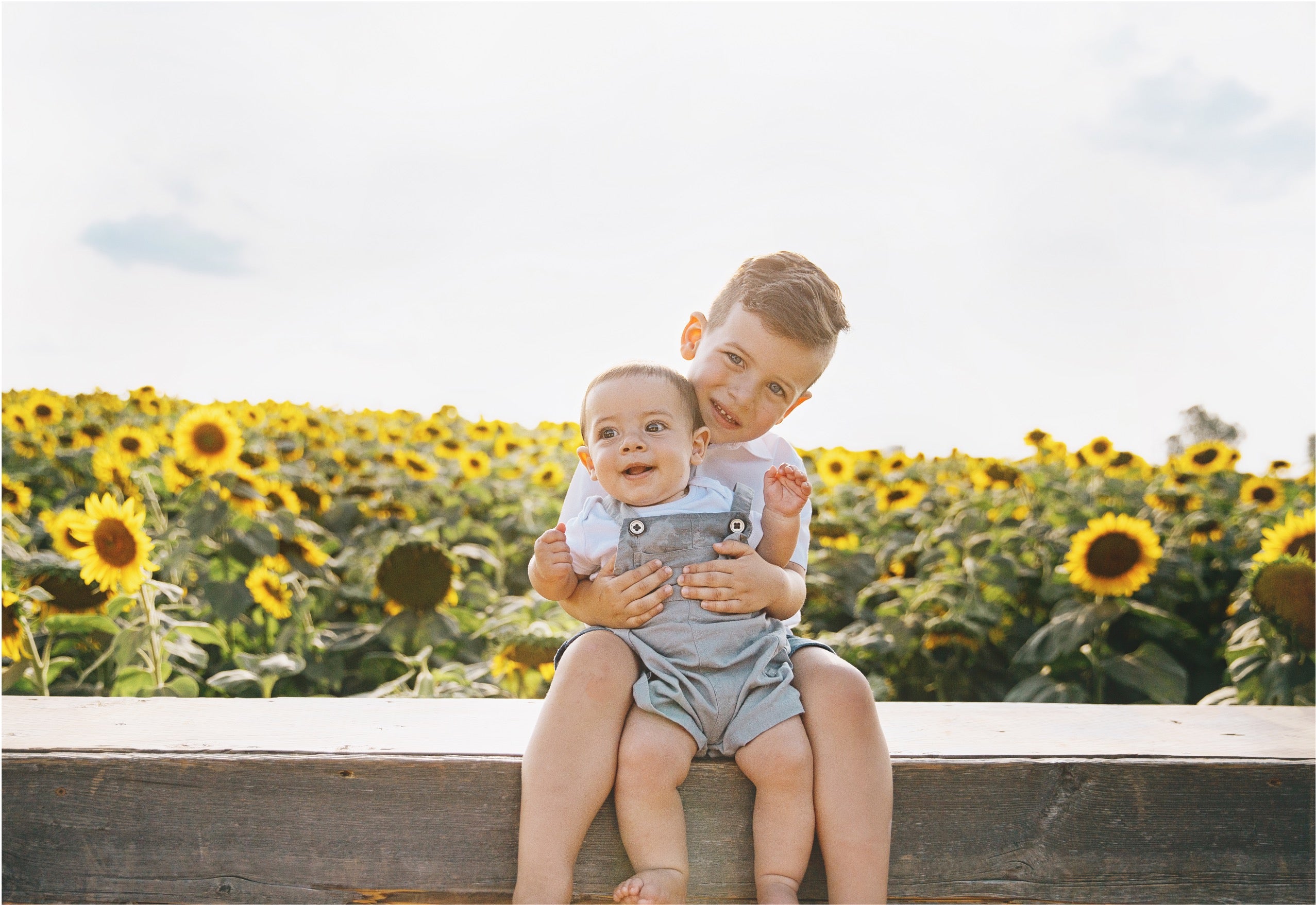 Two young boys sitting on a wooden fence in a sunflower field, with one boy holding a tablet and smiling at the camera.