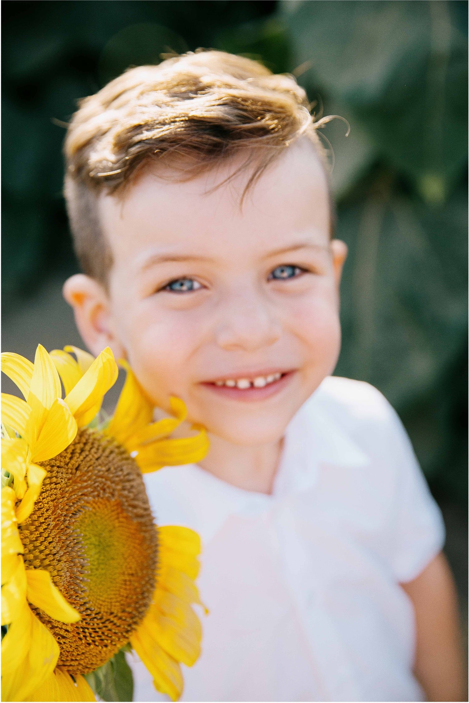 A young boy with light brown hair and blue eyes smiling while holding a large yellow sunflower in a garden setting.