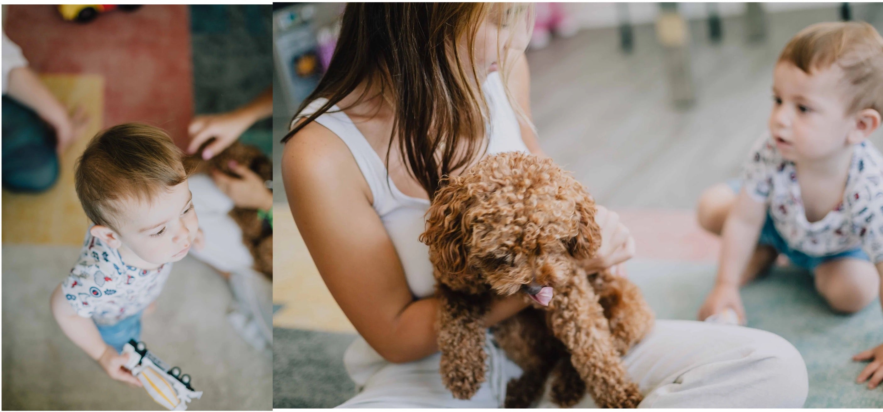 A split-panel lifestyle photo showing a woman holding a curly brown dog while a toddler stands nearby, with another toddler kneeling in the background.
