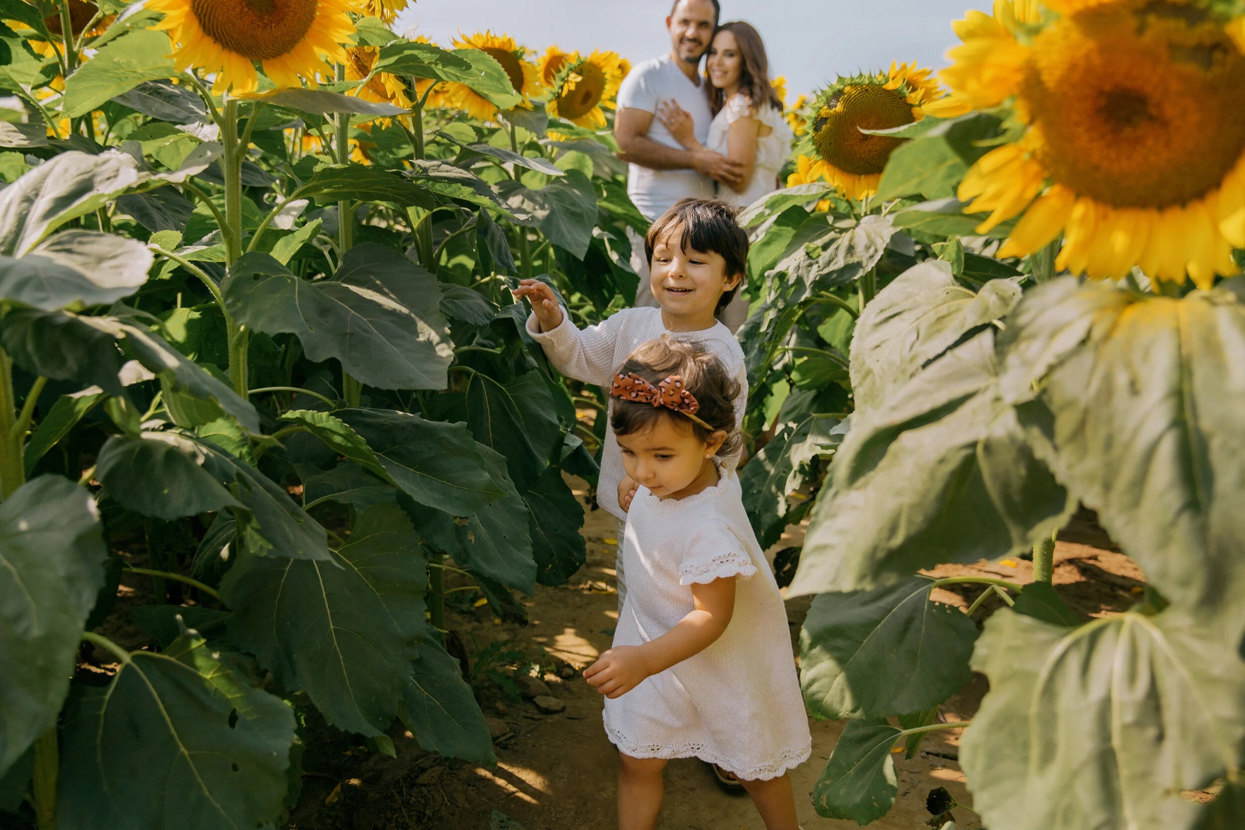 A family of four in a sunflower field, with two young children in the foreground wearing white dresses and a man and woman standing behind them among tall sunflowers.