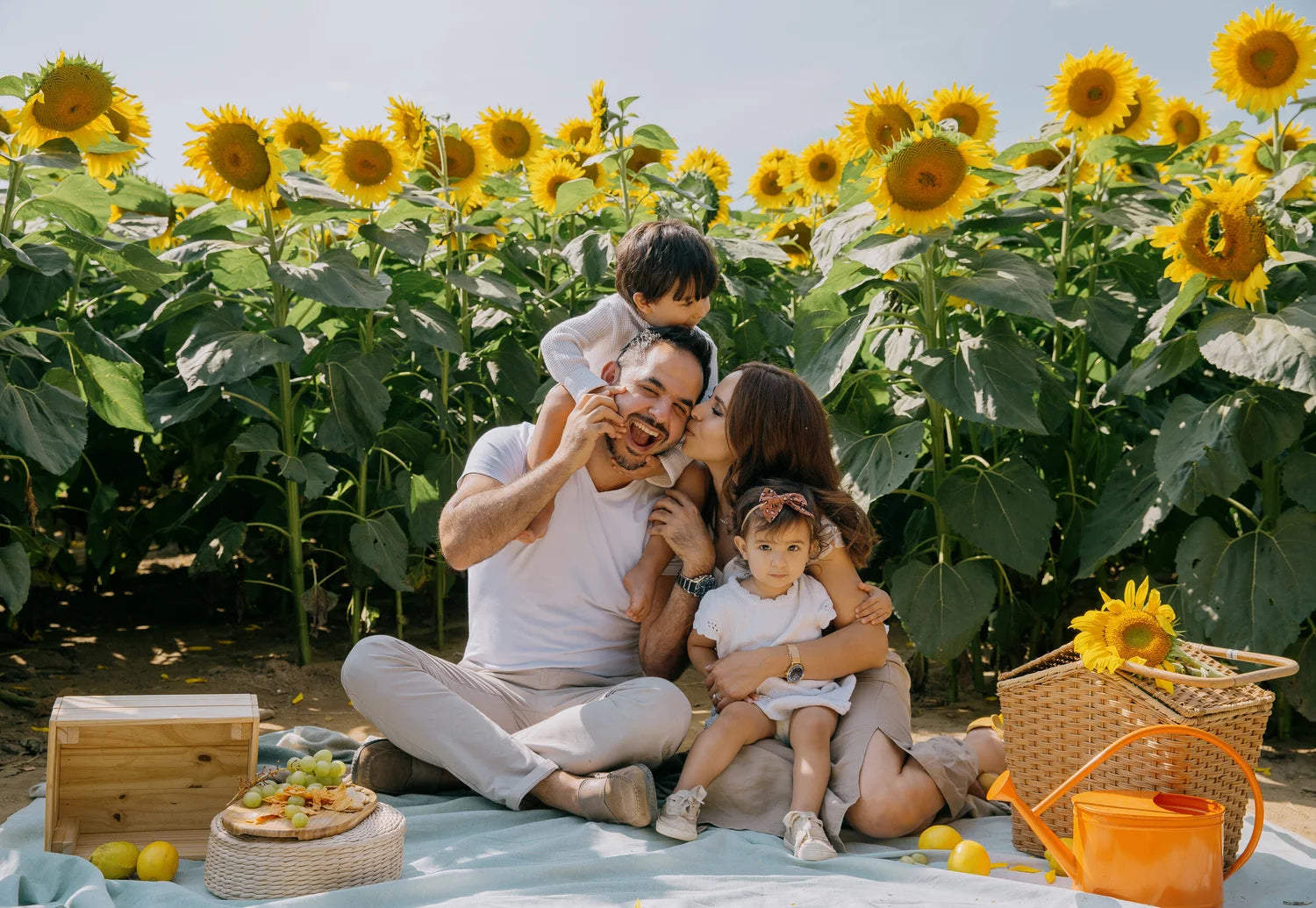 Family portrait in a sunflower field, father laughing with kids, mother kissing his cheek