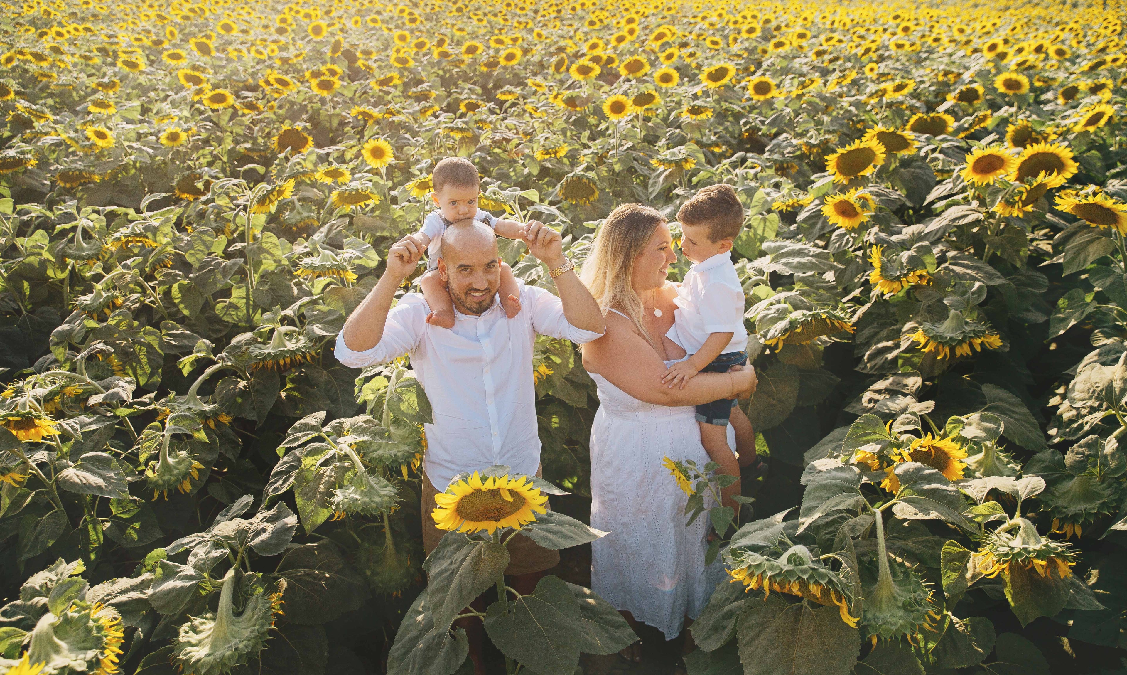 A family of four posing in a sunflower field. The father wears a white t-shirt and holds a baby on his shoulders, while the mother in a white dress holds a toddler.