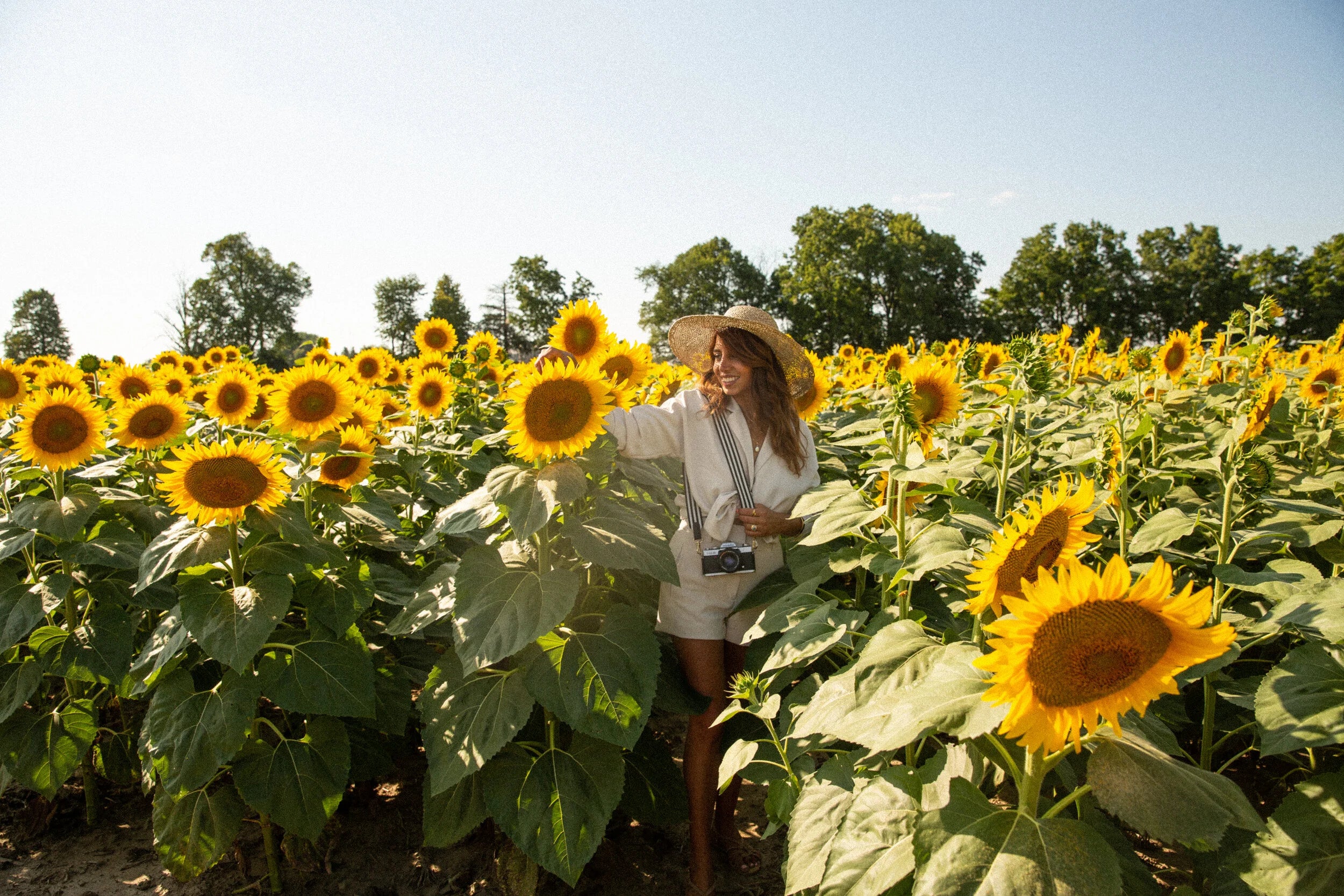 A woman wearing a straw hat and a light-colored outfit stands in a sunflower field, surrounded by large yellow sunflowers under a clear blue sky.
